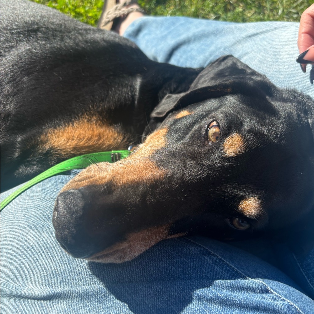 🚨🚨Like this listing if you wanna be notified of my LIVE shows 🚨🚨 - Picture 10 of 10